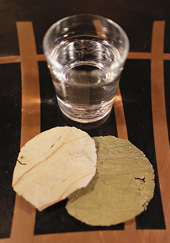 Natives uses dried lotus leave as coasters