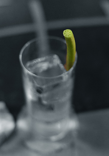 Native uses lotus stem as straw for their cocktails