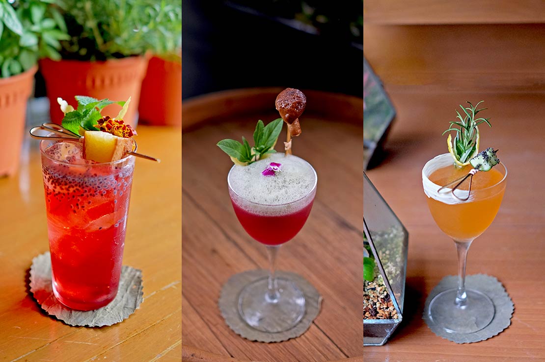 The Curious Gardener Cocktails