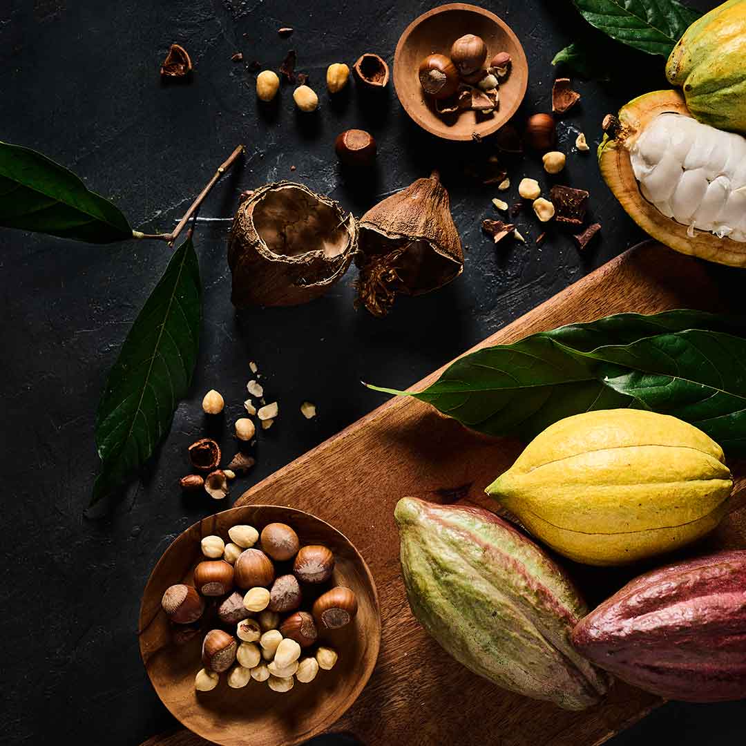 Cacao fruit