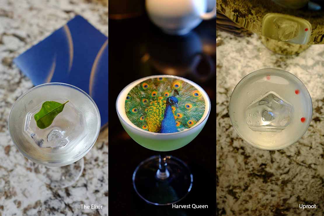 Nomadic Forager cocktails