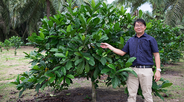 MyLiberica Farm founder Jason Liew