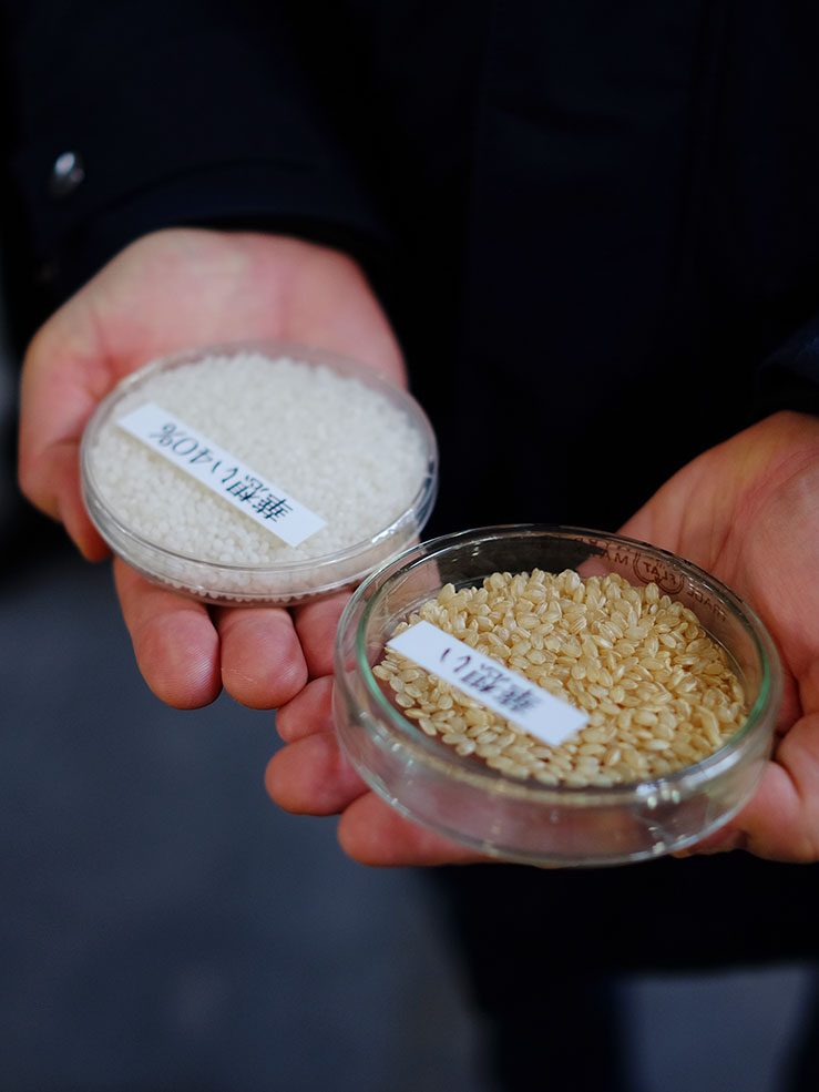 Sake rice before and after milling