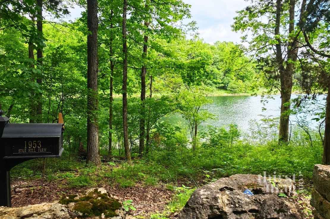 Post box by the creek