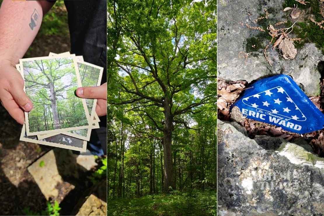 Makers Mark Mother Oak