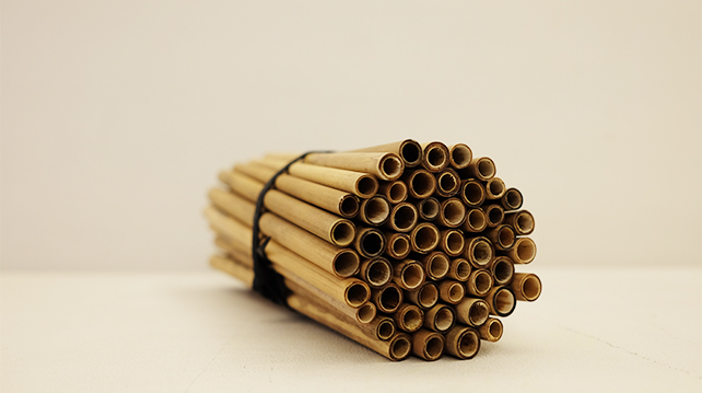 Are bamboo straws the next in thing?