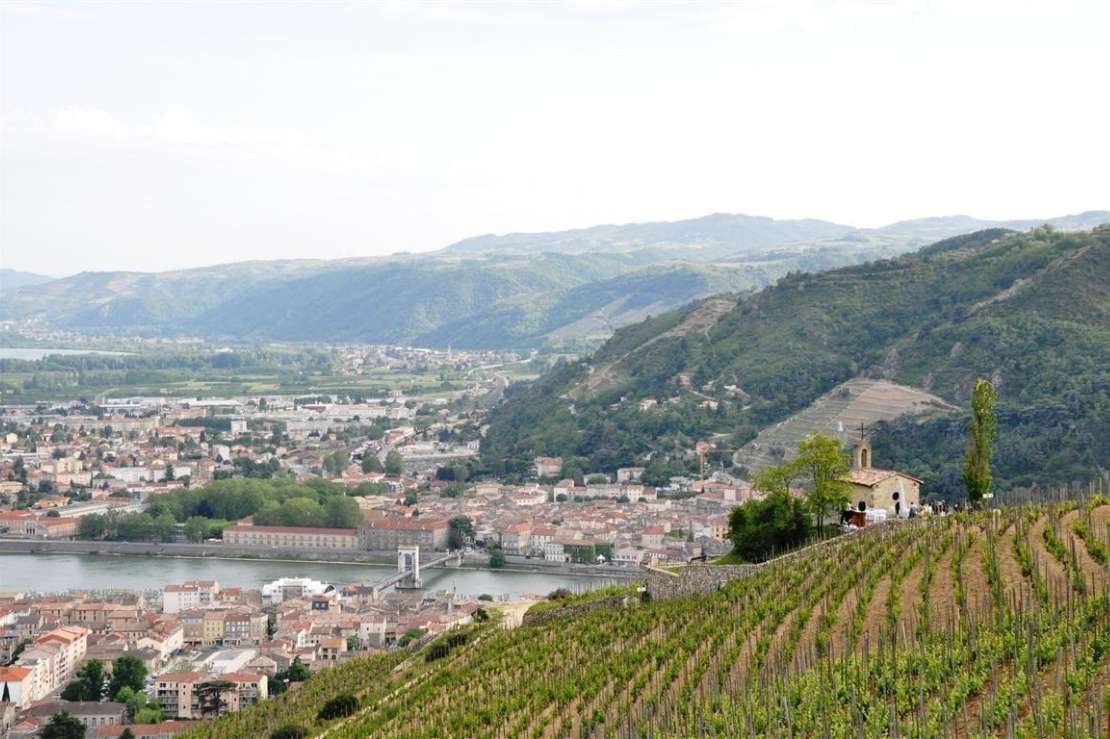 When in Rhone or Wherever There is Rhone: Wines of Heritage