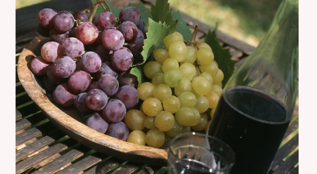 What you need to know about varietal and blended wines