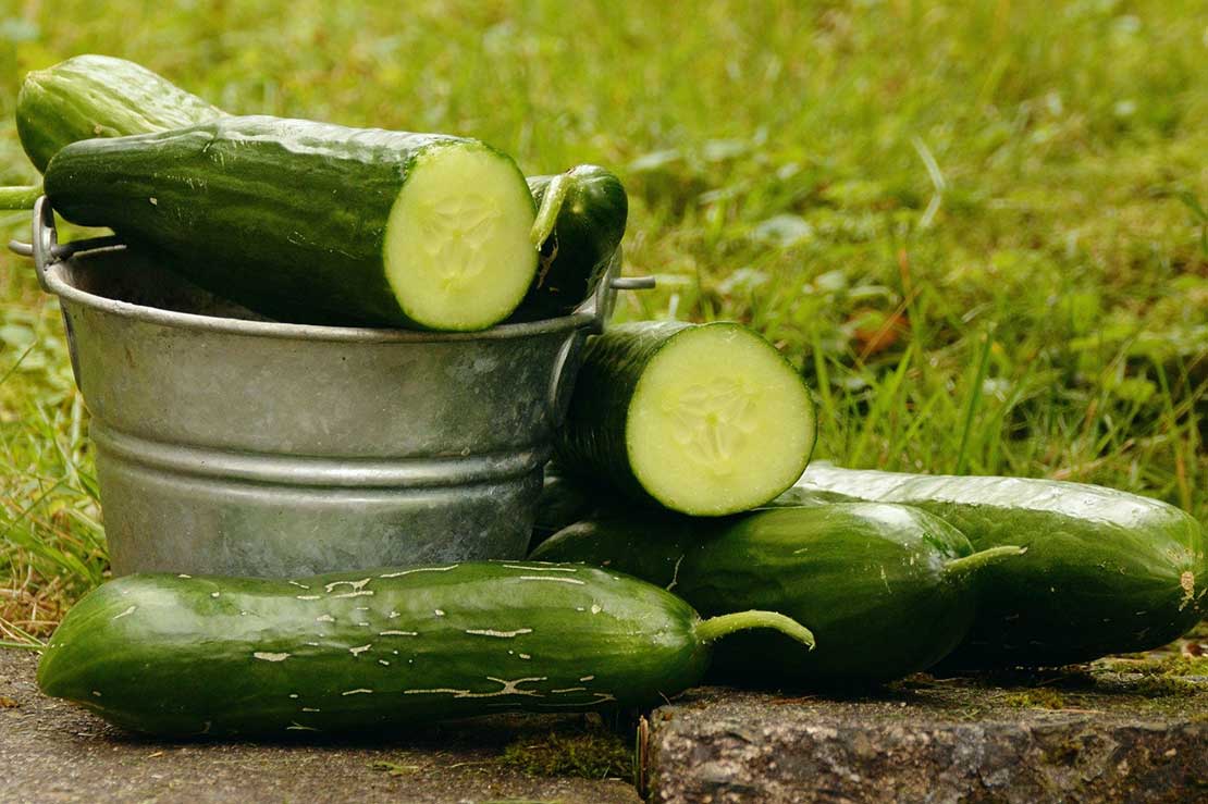 The things you didn’t know about cucumber