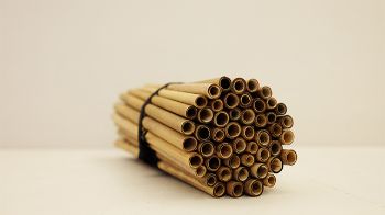Bamboo-Straws.jpg