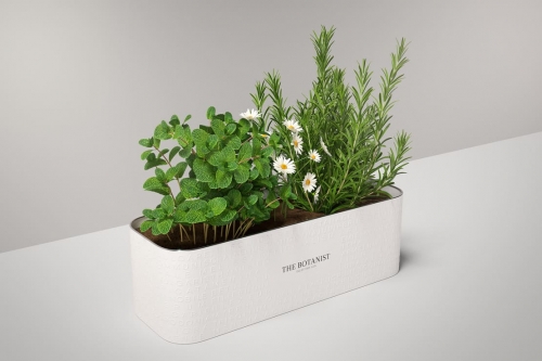 BotanistPlanter1.jpg