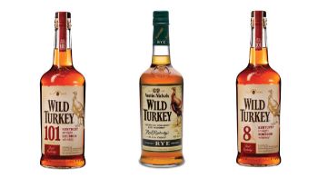 WildTurkey.jpg